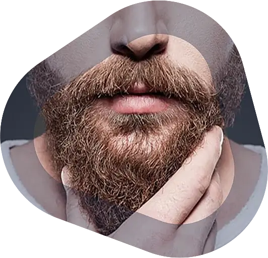 Greffe de barbe à Paris